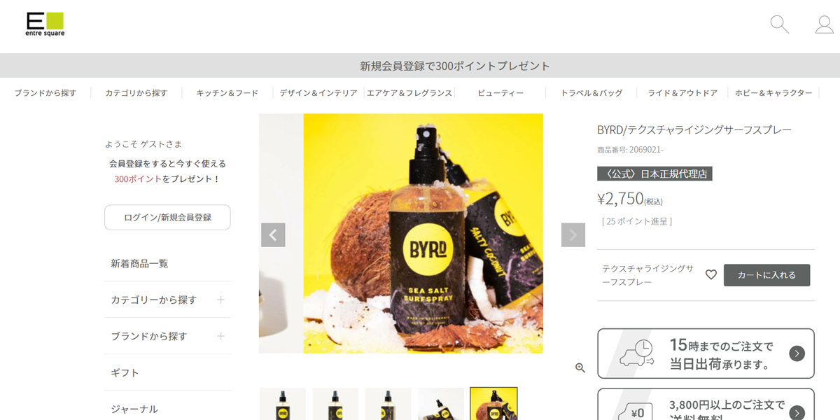 BYRD バード ヘアスプレー テクスチャライジングサーフスプレー ヘア