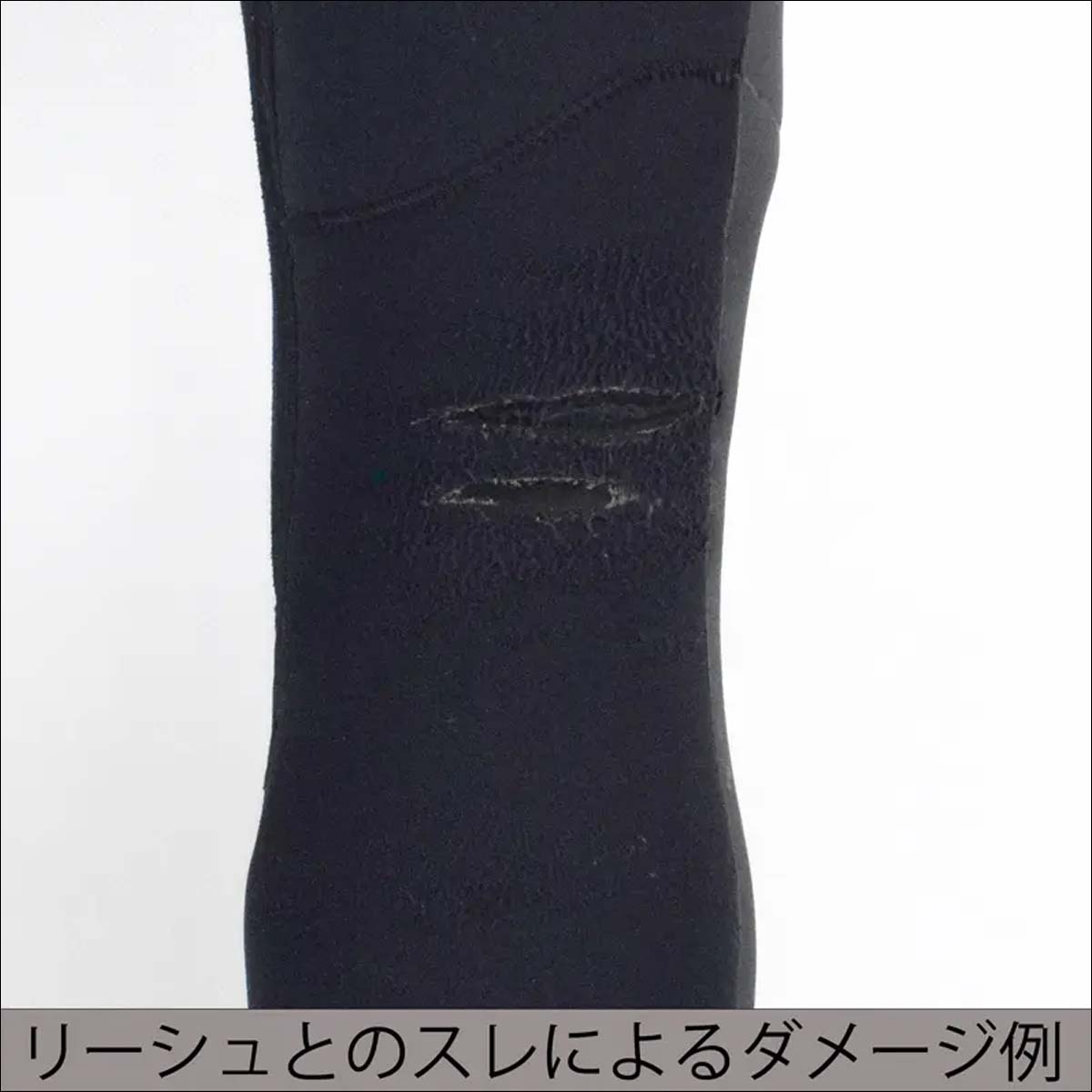 DOVE SURFING WETSUITS ダブ リーシュガード ウェットスーツ