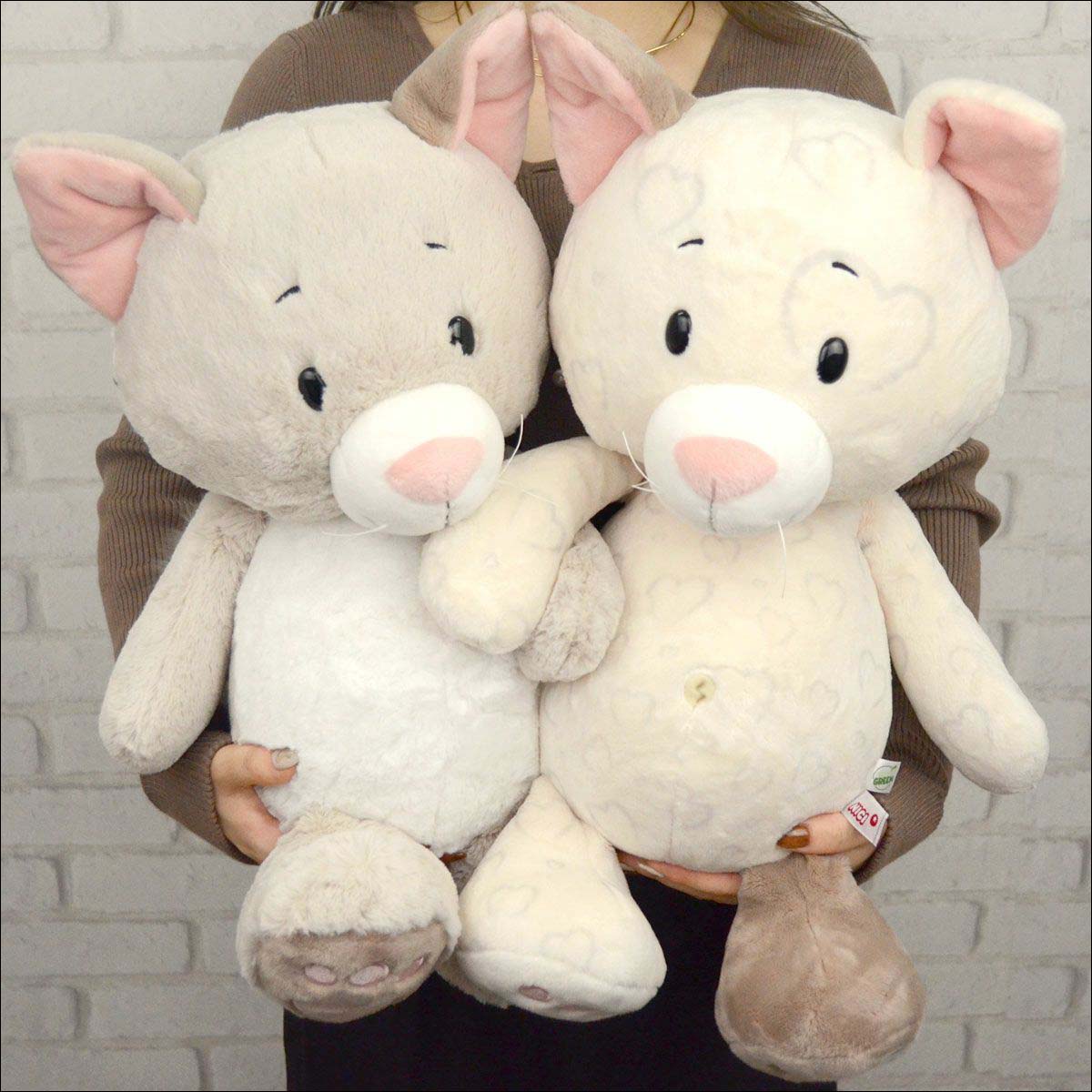 lovecat50-7.jpg