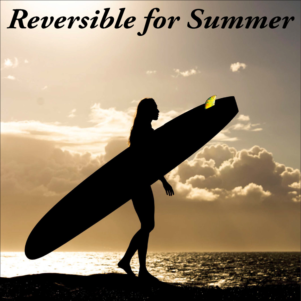 24 ROXY ロキシー ロングジェーン ロングジョン ウェットスーツ  