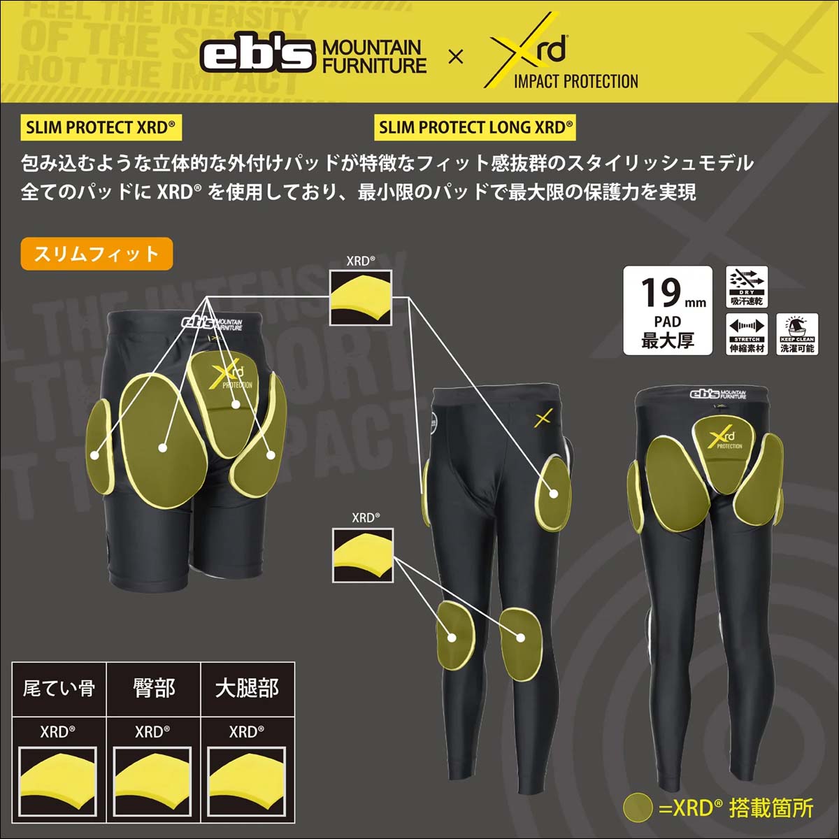eb's 9月中〜10月中 予約 25/26 スノー エビス プロテクター