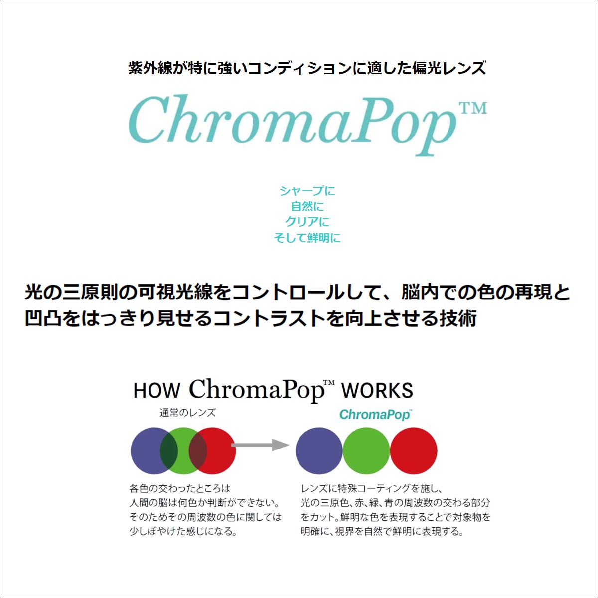 23 SMITH スミス サングラス Wildcat マット フレーム 釣り 海 自転車