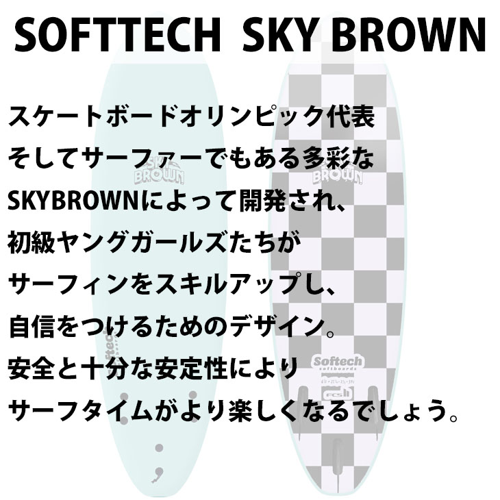24 ソフテック Softech SKY BROWN スカイブラウン ソフトボード