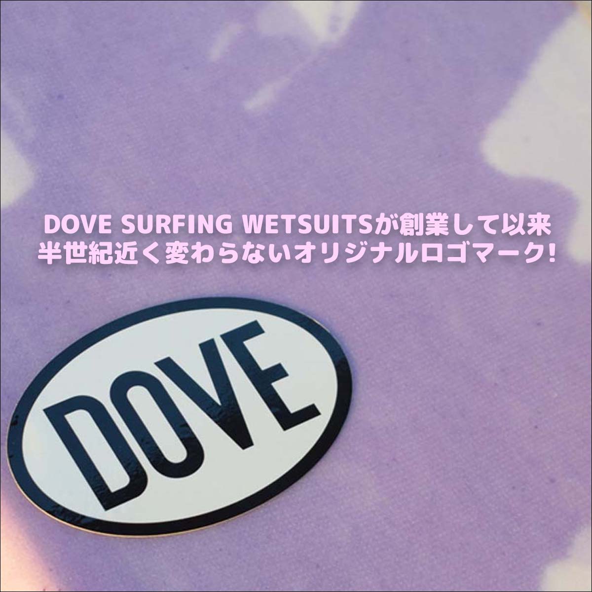 DOVE SURFING WETSUITS ダブ ステッカー クラシックステッカー