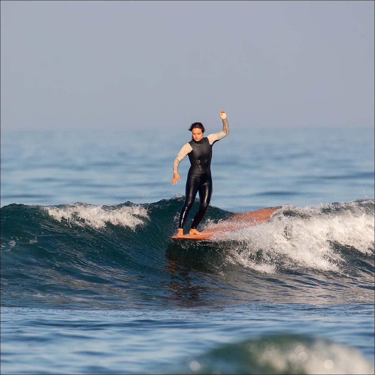 26 SURFTECH サーフテック サーフボード WILDCARD 3 9'9 9.9 ロング