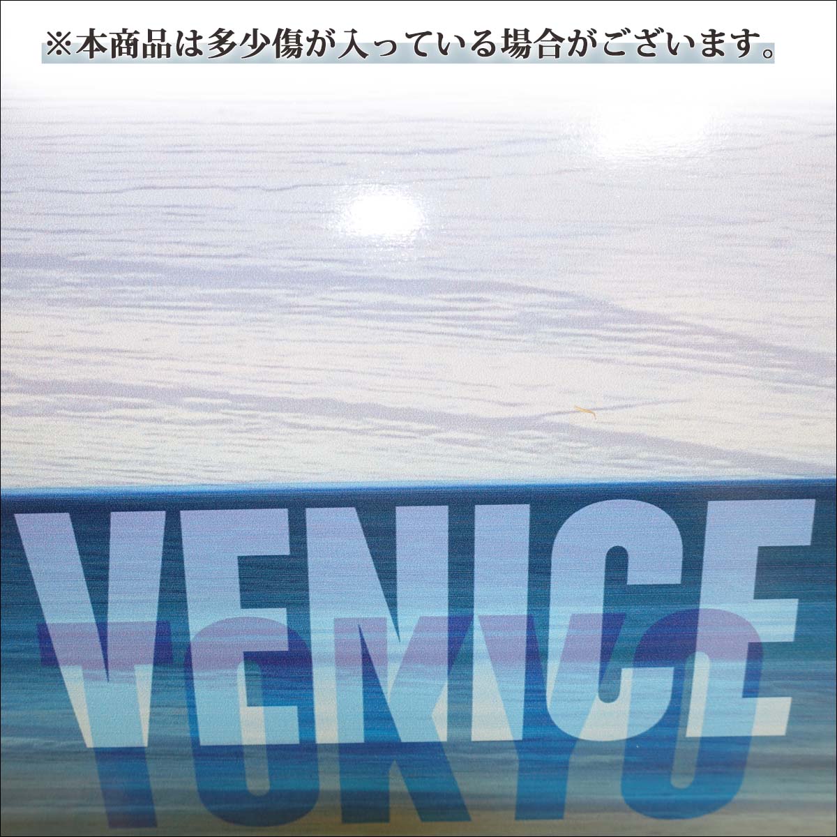 carver（カーバー） スケートボード VENICEモデル CX4 33インチ 日本