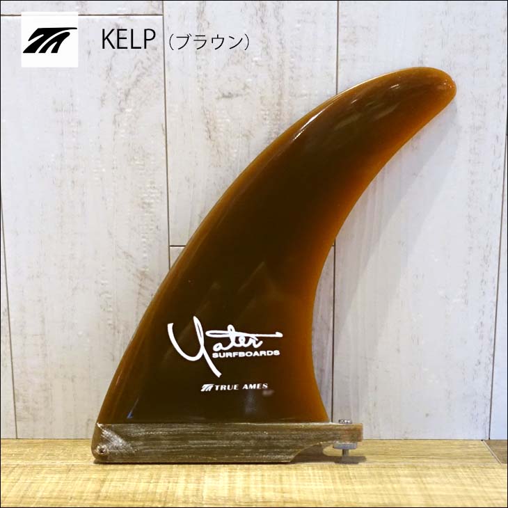 TRUE AMES トゥルーアムス フィン シングルフィン YATER CLASSIC 9.5