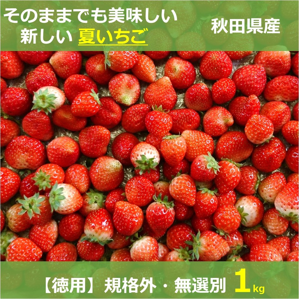 送料無料】生食できる夏イチゴ 6月〜11月発送 無選別 規格外 全サイズ