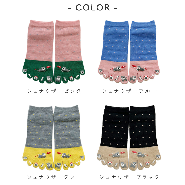くるぶしさん専用　　　　　　　　　　　　　 5個セット ネイビー/レッド 靴下 レディース くるぶし 5本指 五本指ソックス シュナウザー