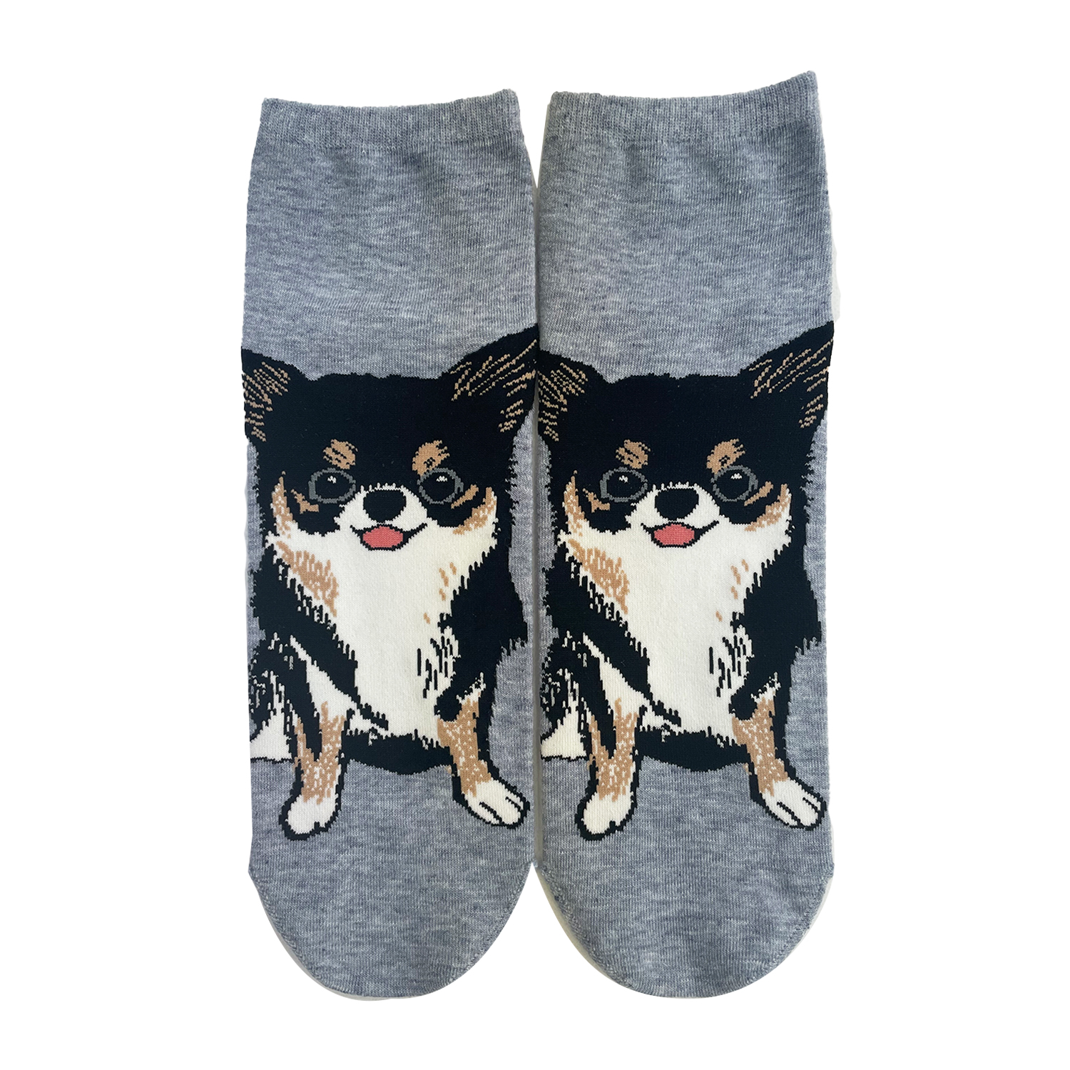 シュナウザー❤️くつしたわんこ リアルワンちゃん靴下にミニチュアシュナウザーが仲間入り | legacess