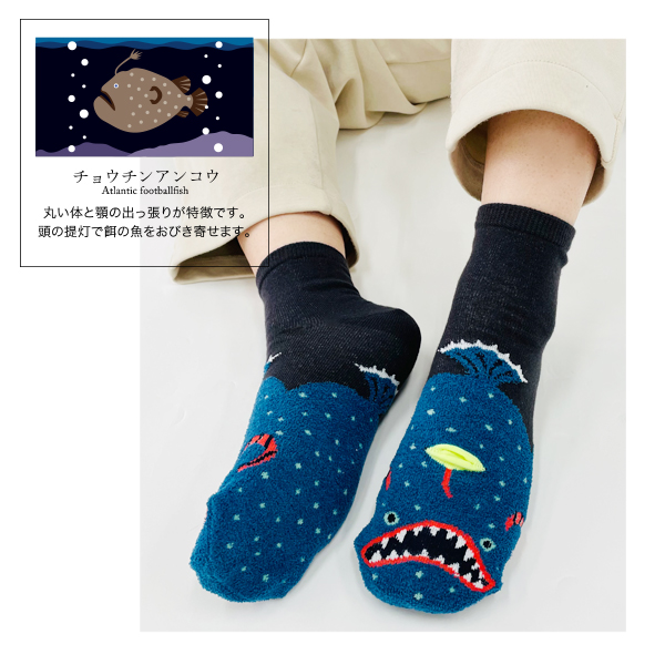靴下 レディース おしゃれ クルー クルーソックス 深海魚 グッズ メンダコ ダイオウグソクムシ サメ サカバンバスピス 23-25cm ゆうパケット9点まで可 関連画像3