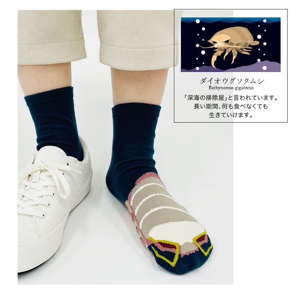 靴下 レディース おしゃれ クルー クルーソックス 深海魚 グッズ メンダコ ダイオウグソクムシ サメ サカバンバスピス 23-25cm ゆうパケット9点まで可 関連画像4