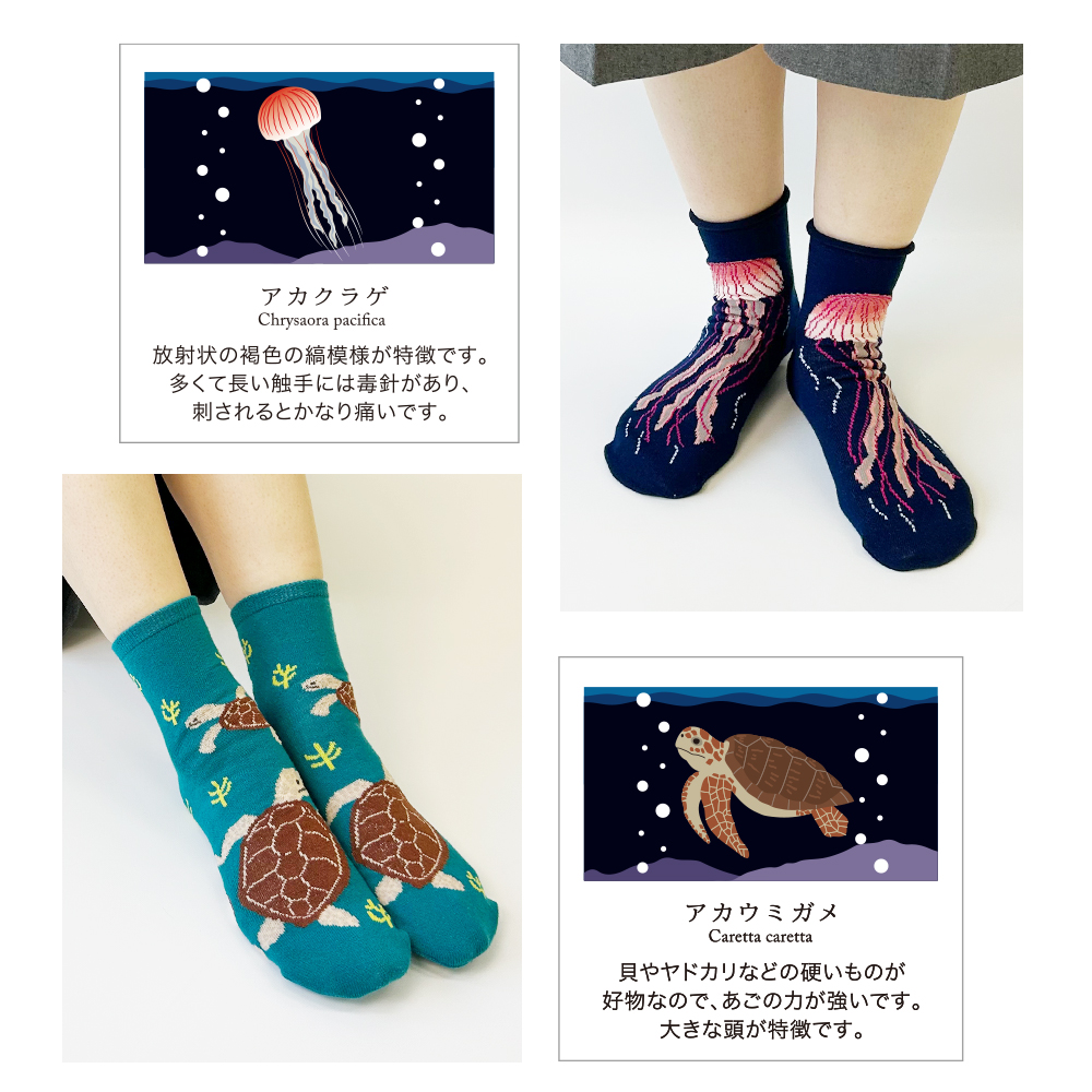 靴下 レディース セット おしゃれ 4足組 ソックス 深海魚 グッズ