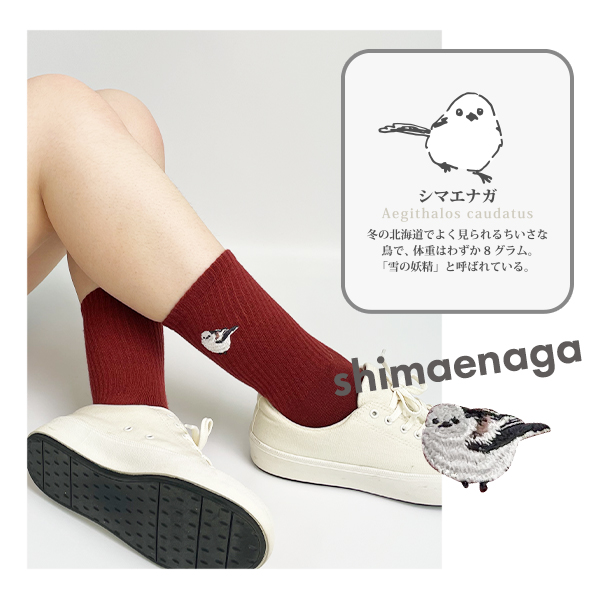 靴下 レディース かわいい おしゃれ クルー丈 アニマル 刺繍 リブ ソックス チンチラ ハシビロコウ シマエナガ パンダ ラッコ 23-25cm ゆうパケット5点まで可 関連画像2