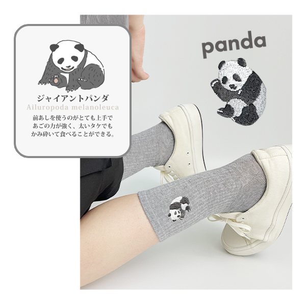 靴下 レディース かわいい おしゃれ クルー丈 アニマル 刺繍 リブ ソックス チンチラ ハシビロコウ シマエナガ パンダ ラッコ 23-25cm ゆうパケット5点まで可 関連画像3