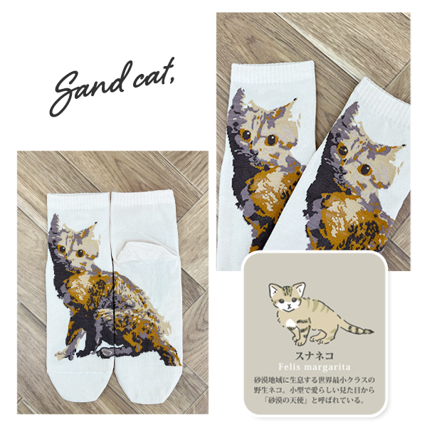 靴下 レディース かわいい おしゃれ くるぶし...の詳細画像5
