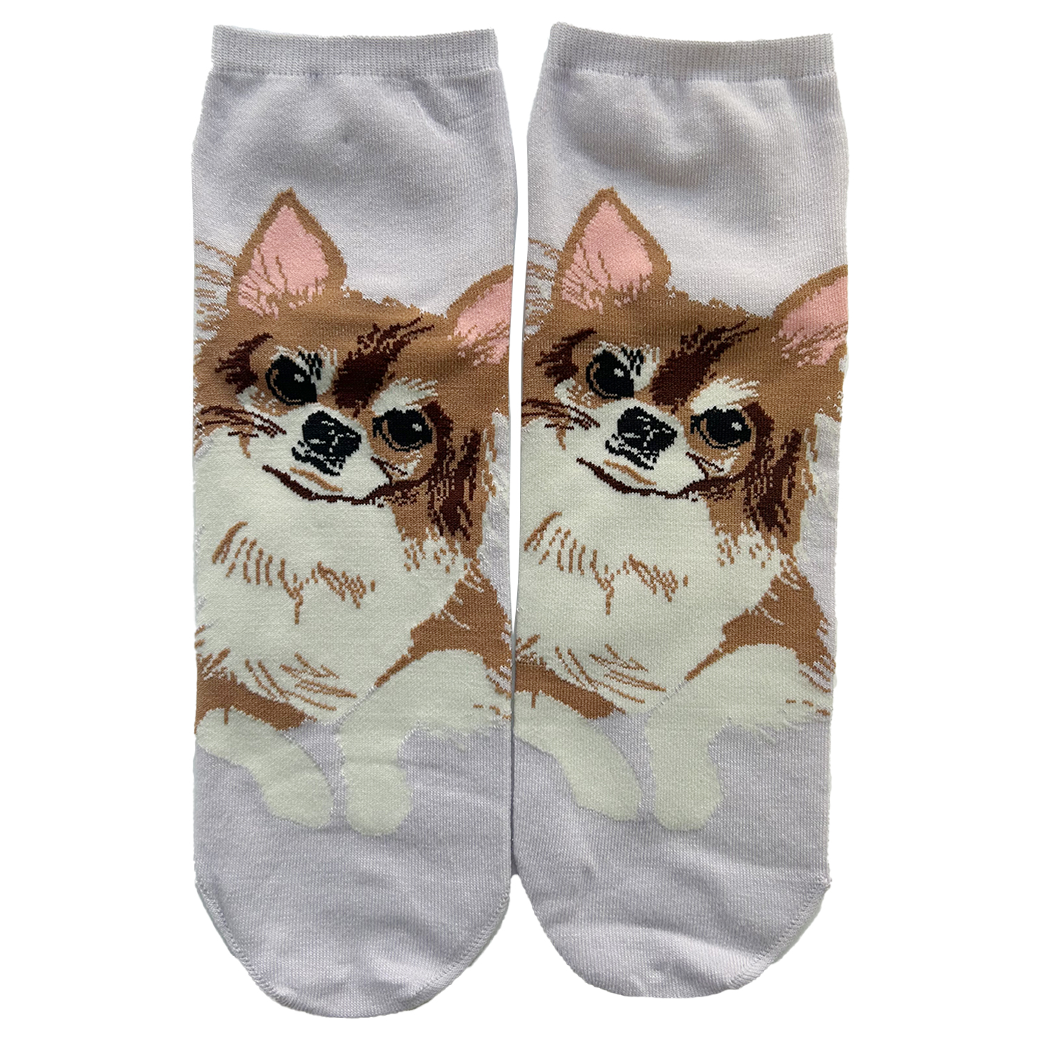 靴下 レディース 犬 柄 春夏 おしゃれ シュナウザー 柴犬 柴 トイ