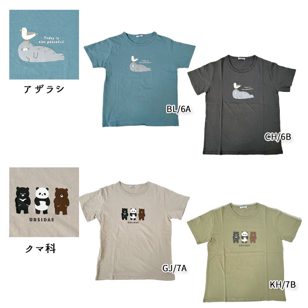 Tシャツ レディース 半袖 シュナウザー 秋田犬 ネコ シロクマ