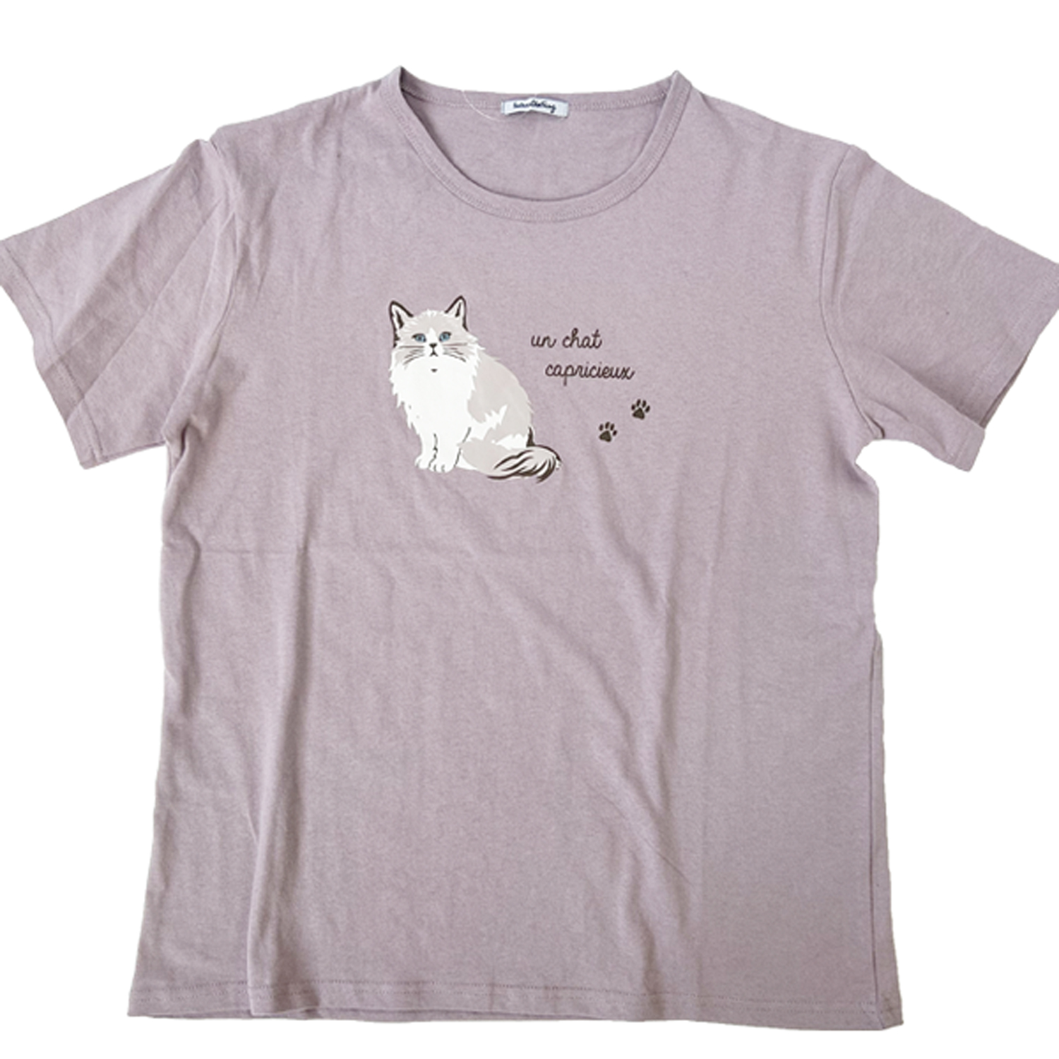 Tシャツ レディース 半袖 シュナウザー 秋田犬 ネコ シロクマ