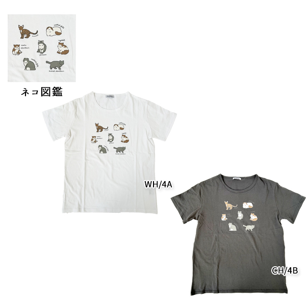 Tシャツ レディース シュナウザー 柴犬 ネコ フレンチブルドッグ シマエナガ ネコ ハシビロコウ アニマル柄 ウェア 半袖 プリントT M-L ゆうパケット3点まで可 |  | 32
