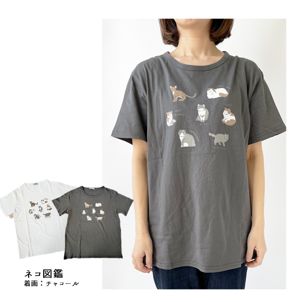 Tシャツ レディース シュナウザー 柴犬 ネコ フレンチブルドッグ シマエナガ ネコ ハシビロコウ アニマル柄 ウェア 半袖 プリントT M-L ゆうパケット3点まで可 |  | 23