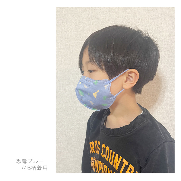マスク 不織布 子供 不織布マスク 立体 子供用 猫 恐竜 車 乗り物 花