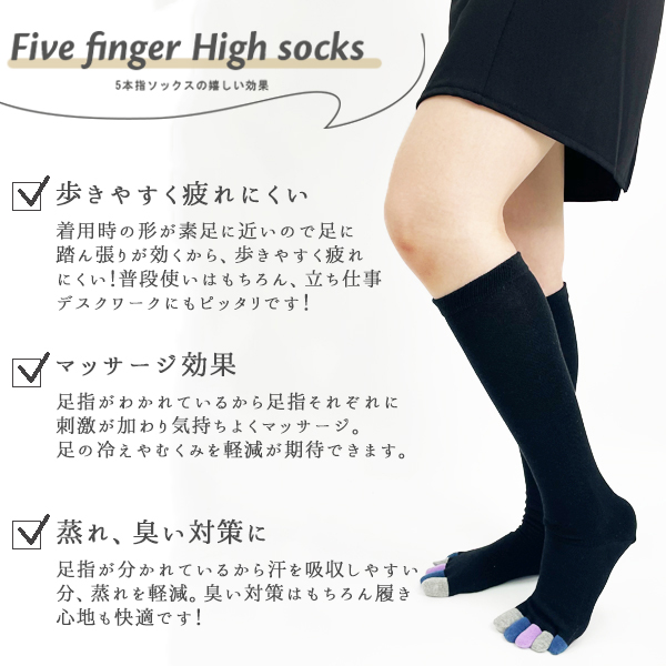 5本指ハイソックス レディース 5本指ソックス 無地 指先カラー アーガイル 足底サポート ずれにくい 五本指靴下 靴下 23-25cm ゆうパケット3点まで可 関連画像1