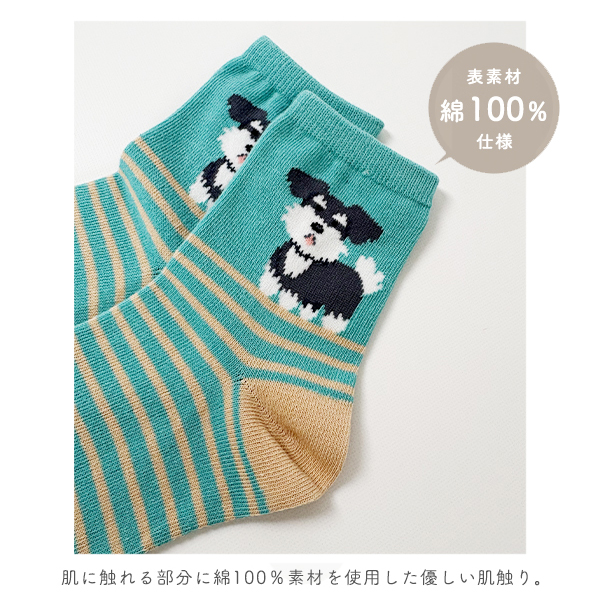 靴下 レディース 夏用 セット シュナウザー 柄 グッズ 2足組