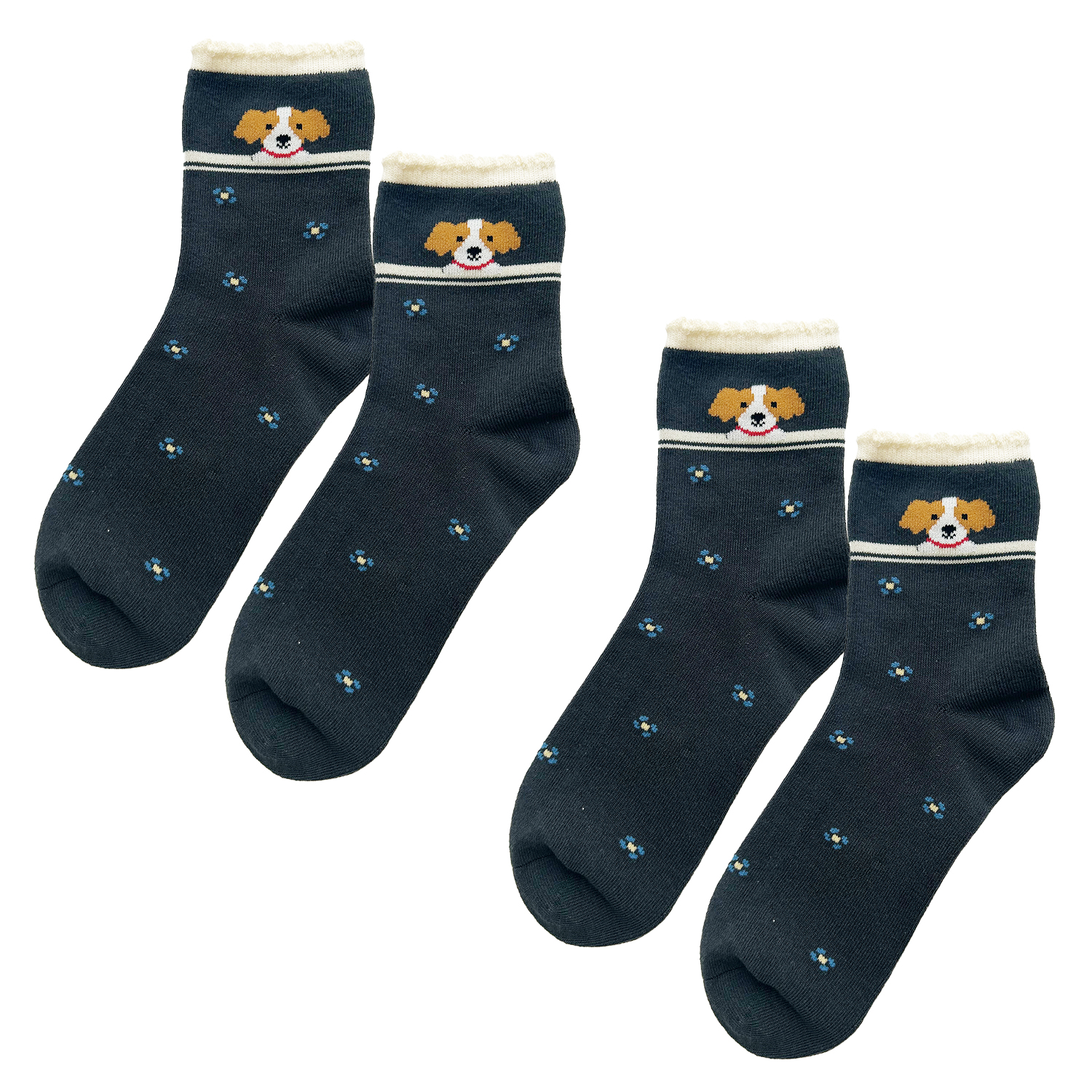 靴下 レディース 夏用 セット 2足組 吸水速乾 シュナウザー コーイケル
