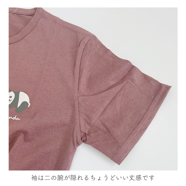 tシャツ レディース 半袖 おしゃれ 大人かわいい トップス 猫 シマエナガ パンダ クマ 虎 アニマル 薄手 カットソー 春夏 カジュアル M-L ゆうパケット3点まで可｜stream-twin｜24