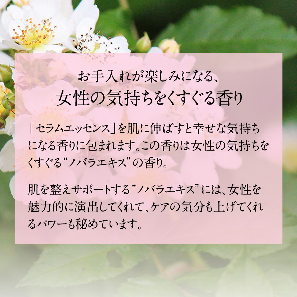 セラムエッセンス 30ml 薬用美白ゲルローション 60ml ストレピア