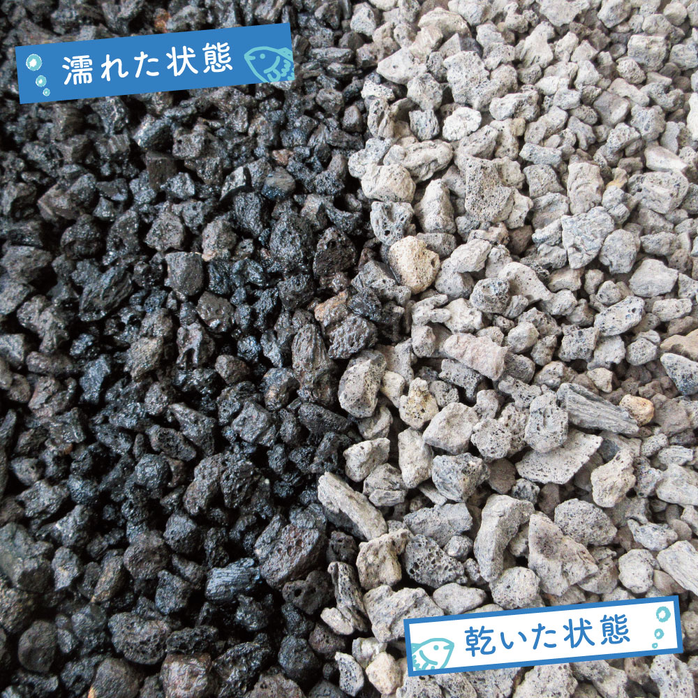 溶岩石砂利 黒 水槽用 10-20mm 7.5kg｜大型水槽・ビオトープに最適で色