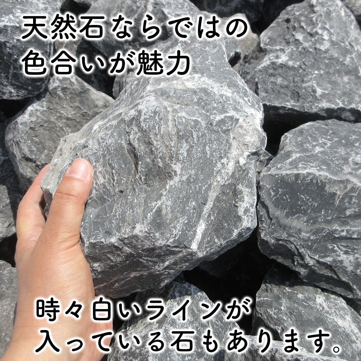 庭石 ロックガーデン 石 割栗石 黒 L 22kg ガーデニング 石 乱形石 