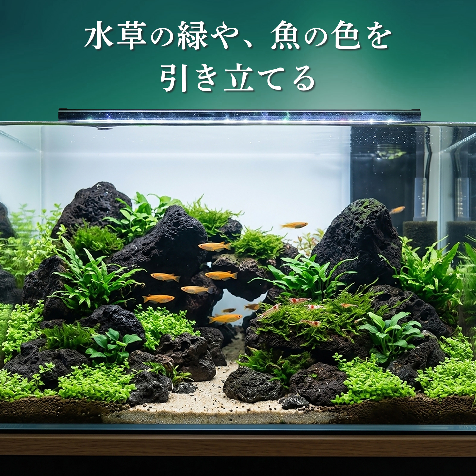 置くだけで水槽完成【溶岩石40-80mm 黒 4.5kg アクアリウムレイアウト