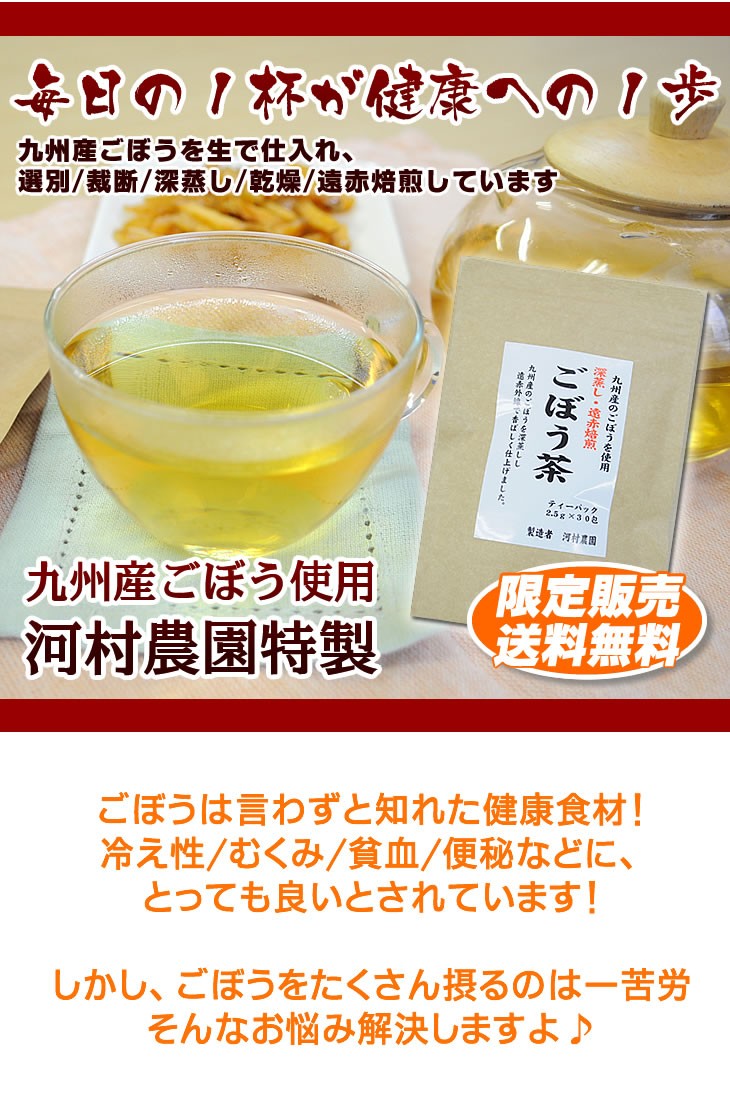 健康　ごぼう　有機栽培　九州　紅茶　ティーパック　送料無料　通販　保存
