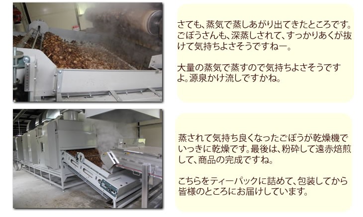 健康　ごぼう　有機栽培　九州　紅茶　ティーパック　送料無料　通販　保存