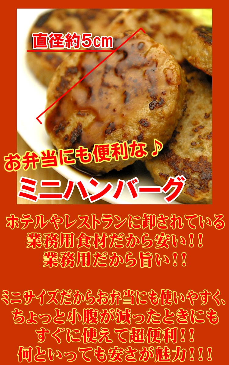 肉 鶏肉 チキン ハンバーグ 最安値 送料無料
