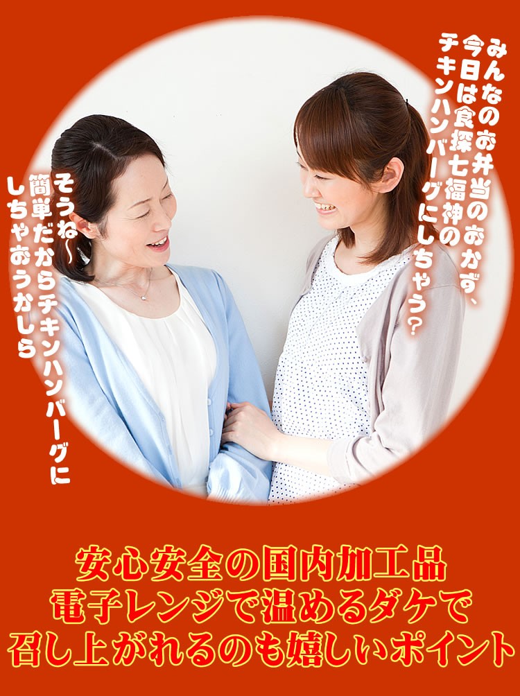 肉 鶏肉 チキン ハンバーグ 最安値 送料無料