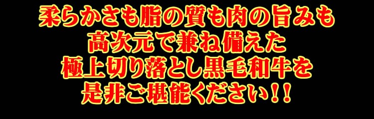 肉 黒毛 和牛 九州 バラ モモ 最安値 送料無料