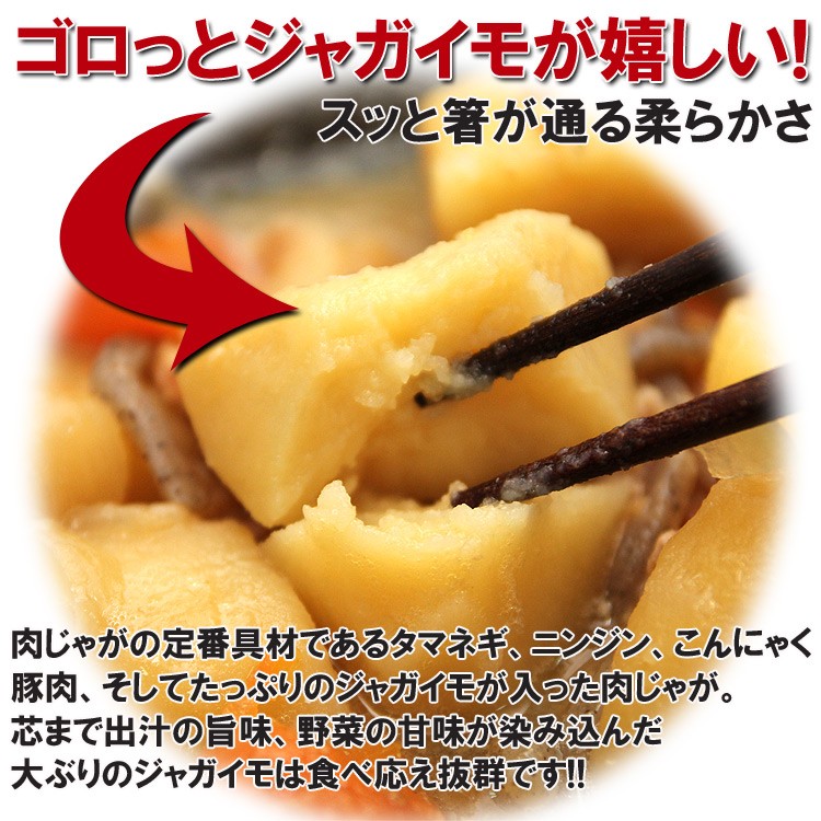 肉じゃが　栄養　健康　送料無料　保存