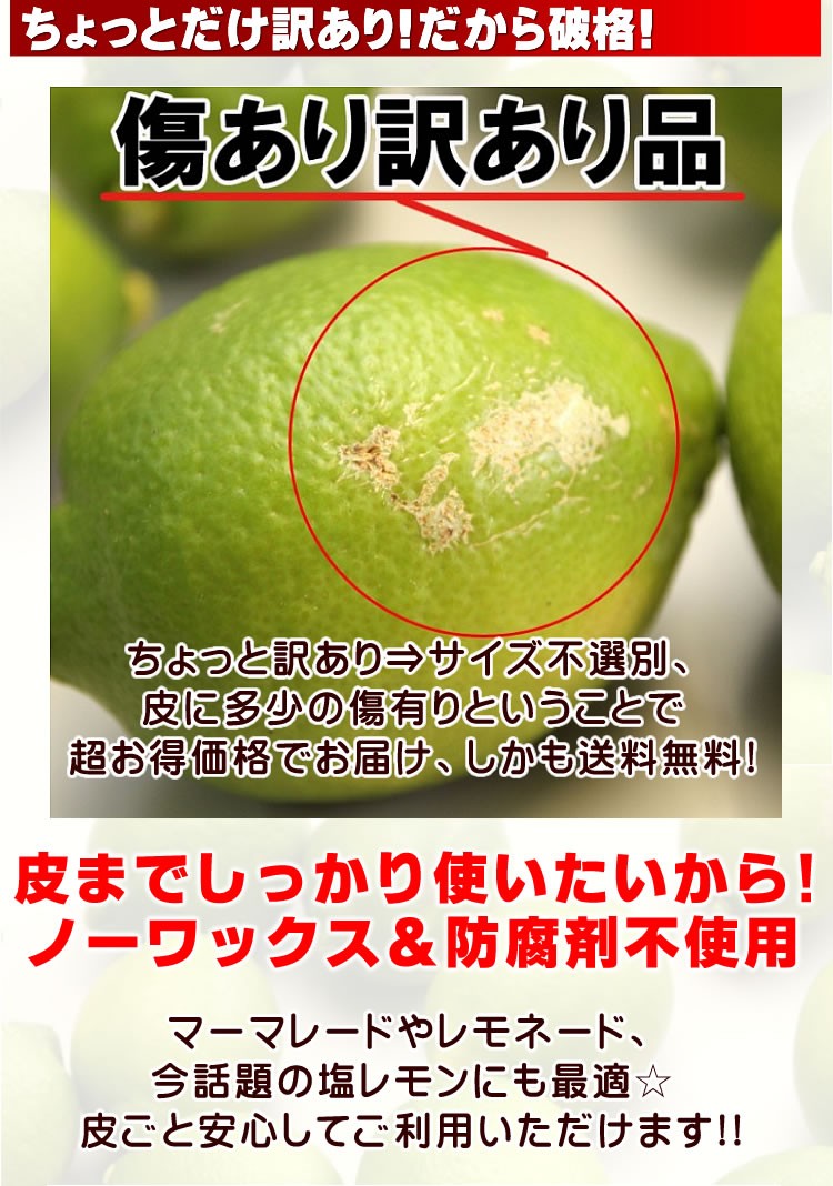 レモン グリーン 国产 ノーワックス ピール レモネード 和歌山