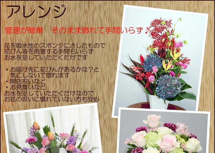 タイトル画像