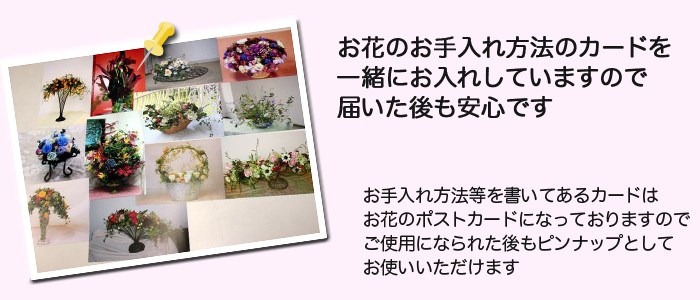 お花の手入れの説明書も　お花のポストカードです