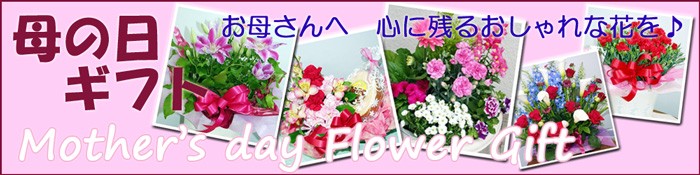 タイトル画像
