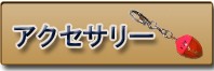 アクセサリー