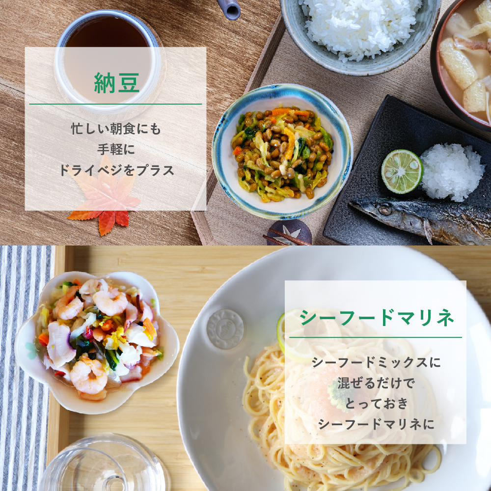 通常用登場