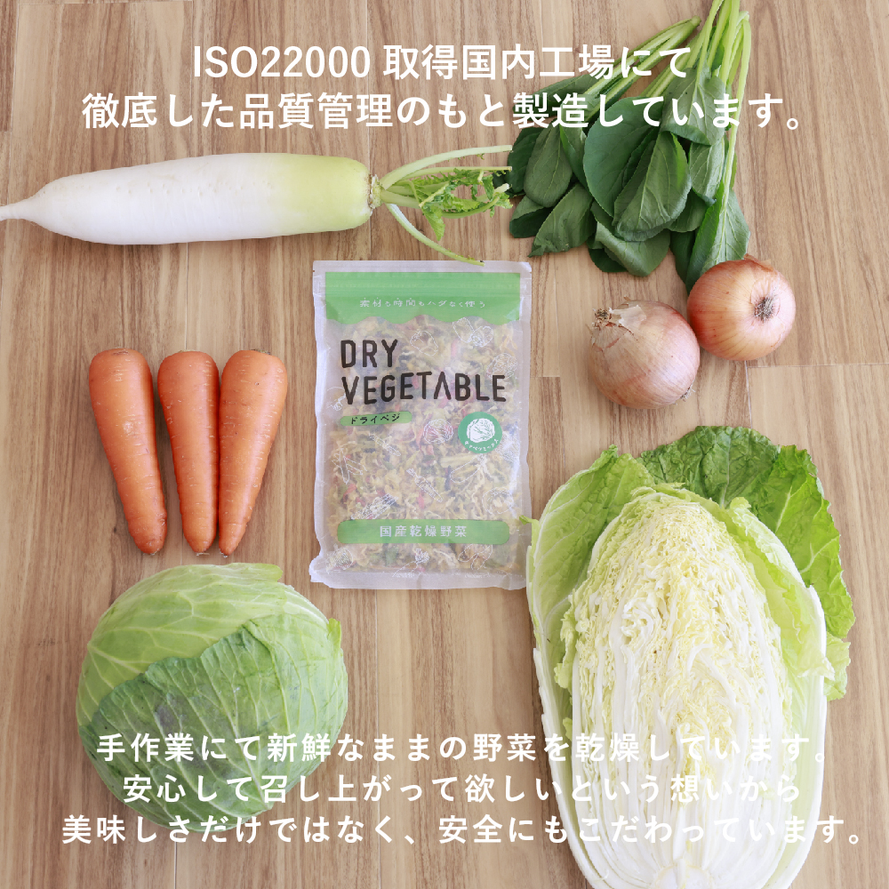 通常用登場