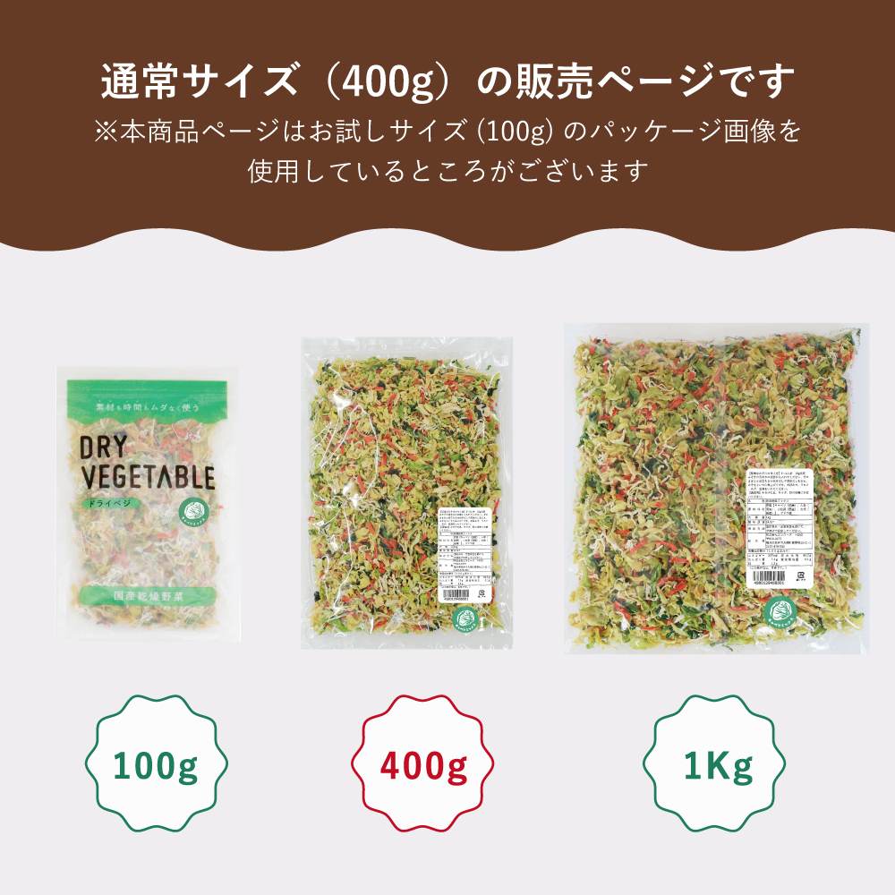 通常用登場