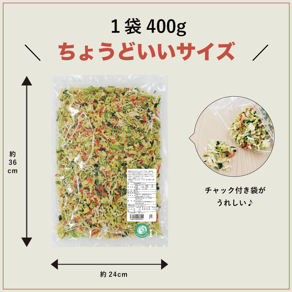 通常用登場