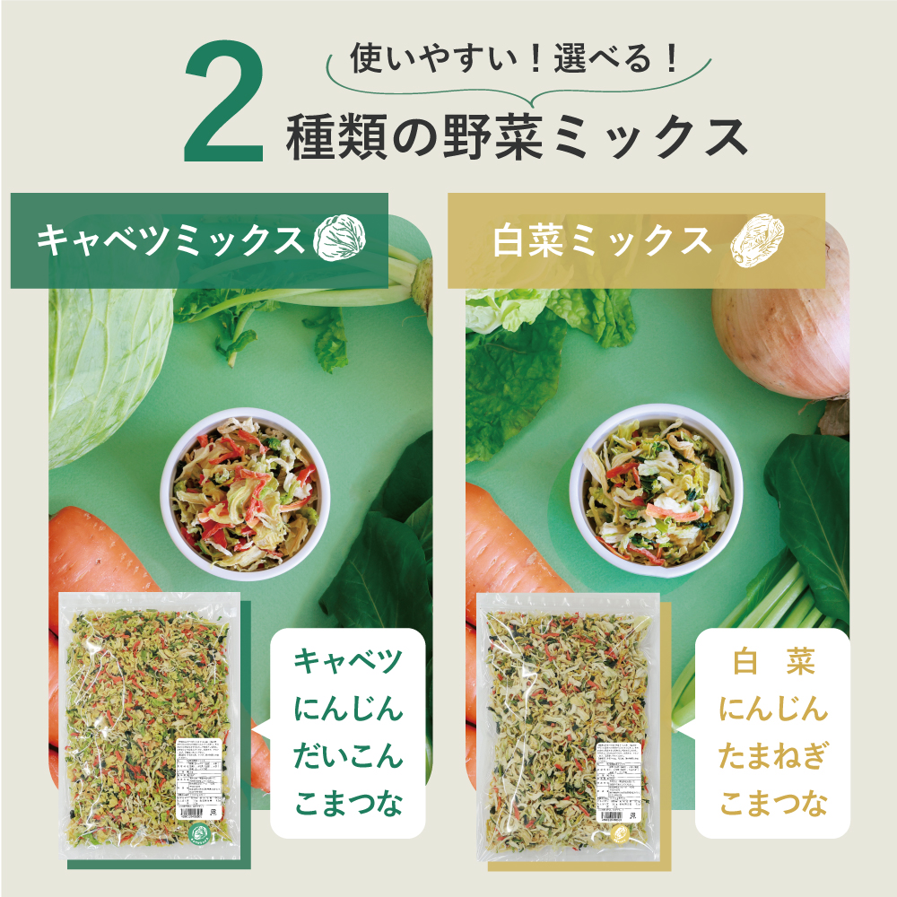 通常用登場